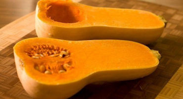 Holandský raně zralý hybrid dýně matilda, vlastnosti odrůdy